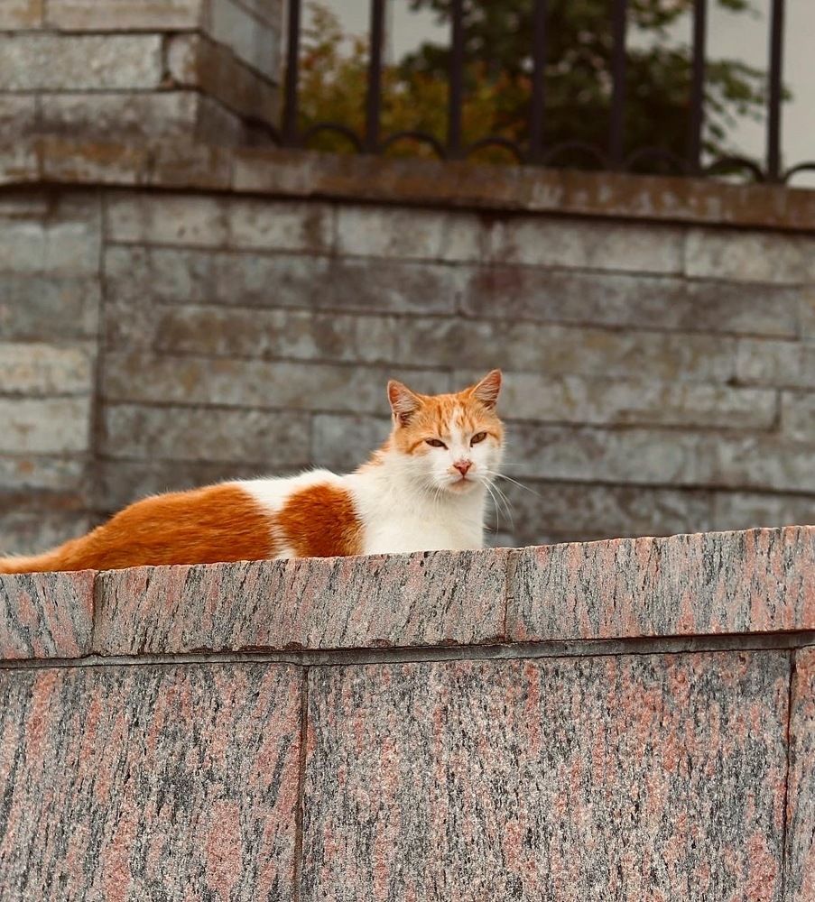 Photograph by Елена Ковалева