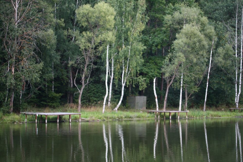 Photograph by Игнатьева Светлана