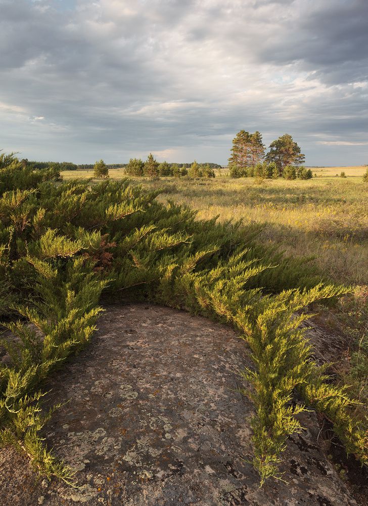 Фотография автора Игорь Русанов
