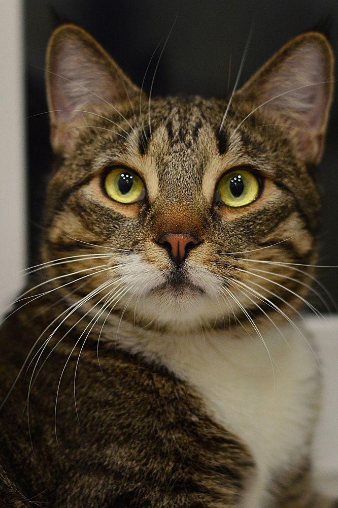 Photograph by Алексей Парамонов