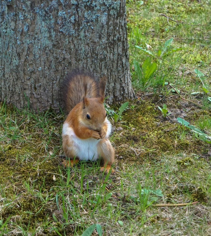 Photograph by Ирина Босак