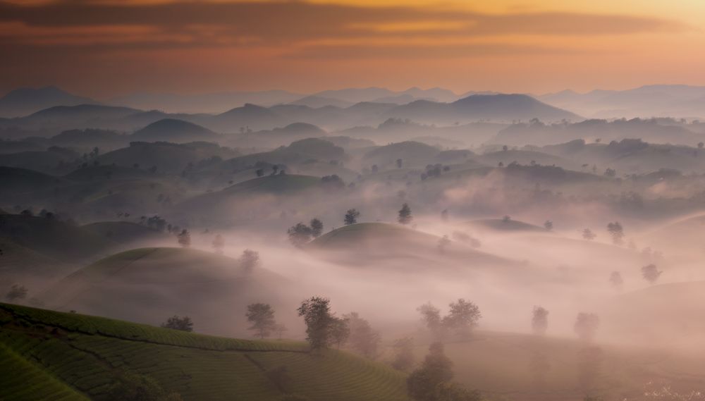 Фотография автора Đào Cảnh