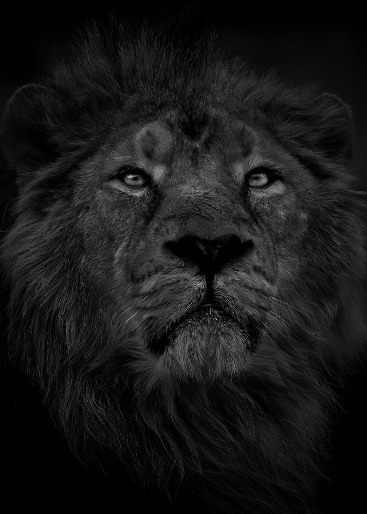 Photograph by ines godinez