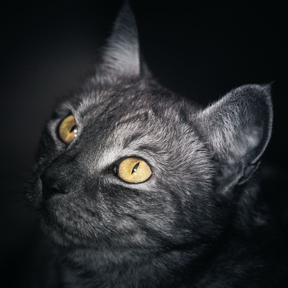 Photograph by Александр Перегоненко