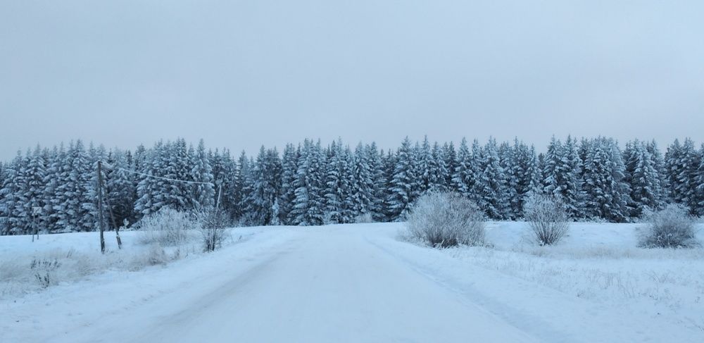 Photograph by София Корепанова
