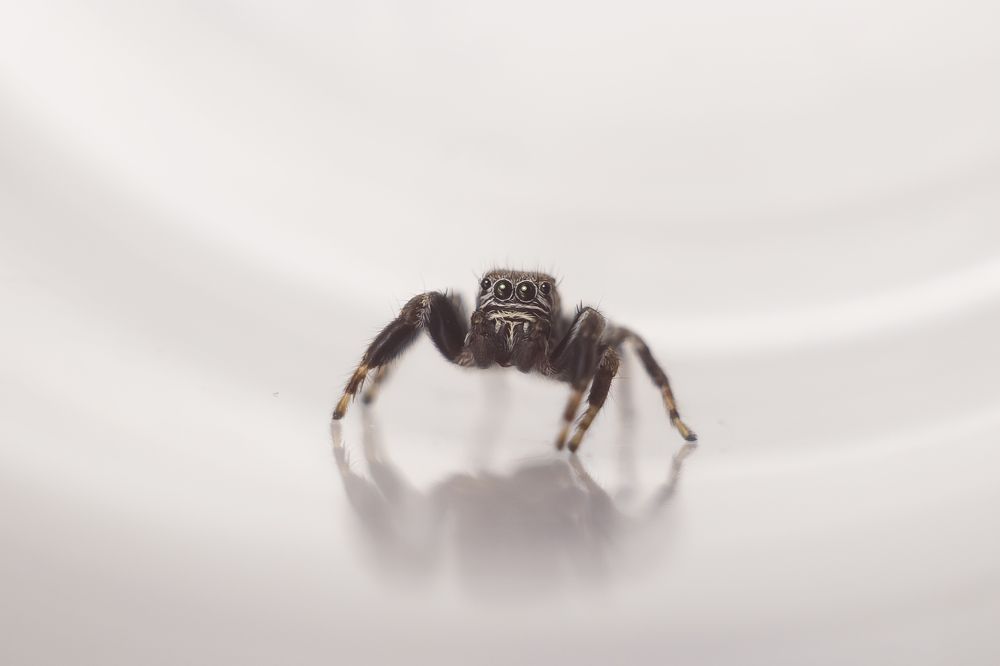 Photograph by Виктория Мамаева