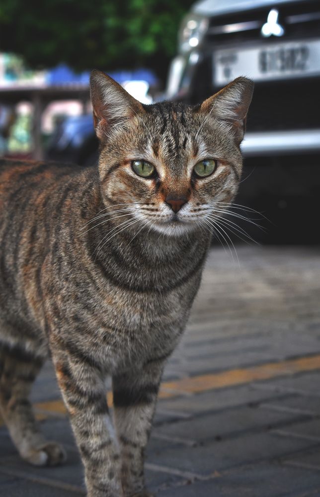 Photograph by Ahmed zaki