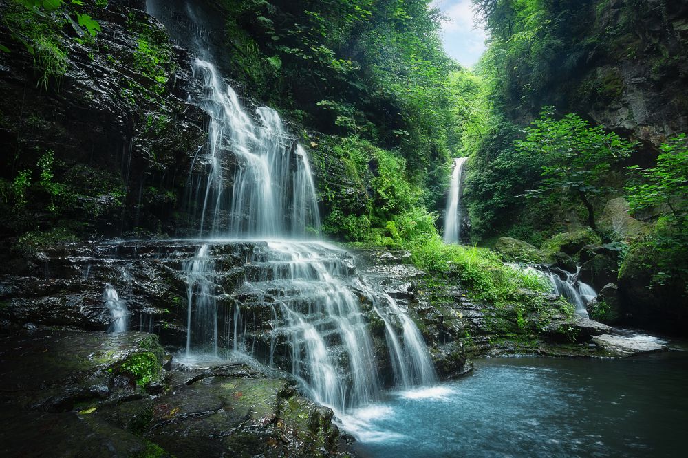 Фотография автора Shahram Hafezi