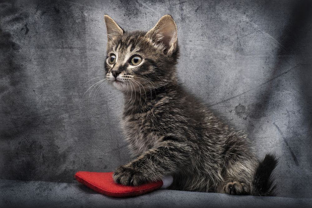 Photograph by Евгений Алексеев