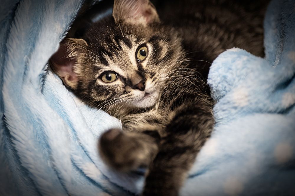 Photograph by Евгений Алексеев