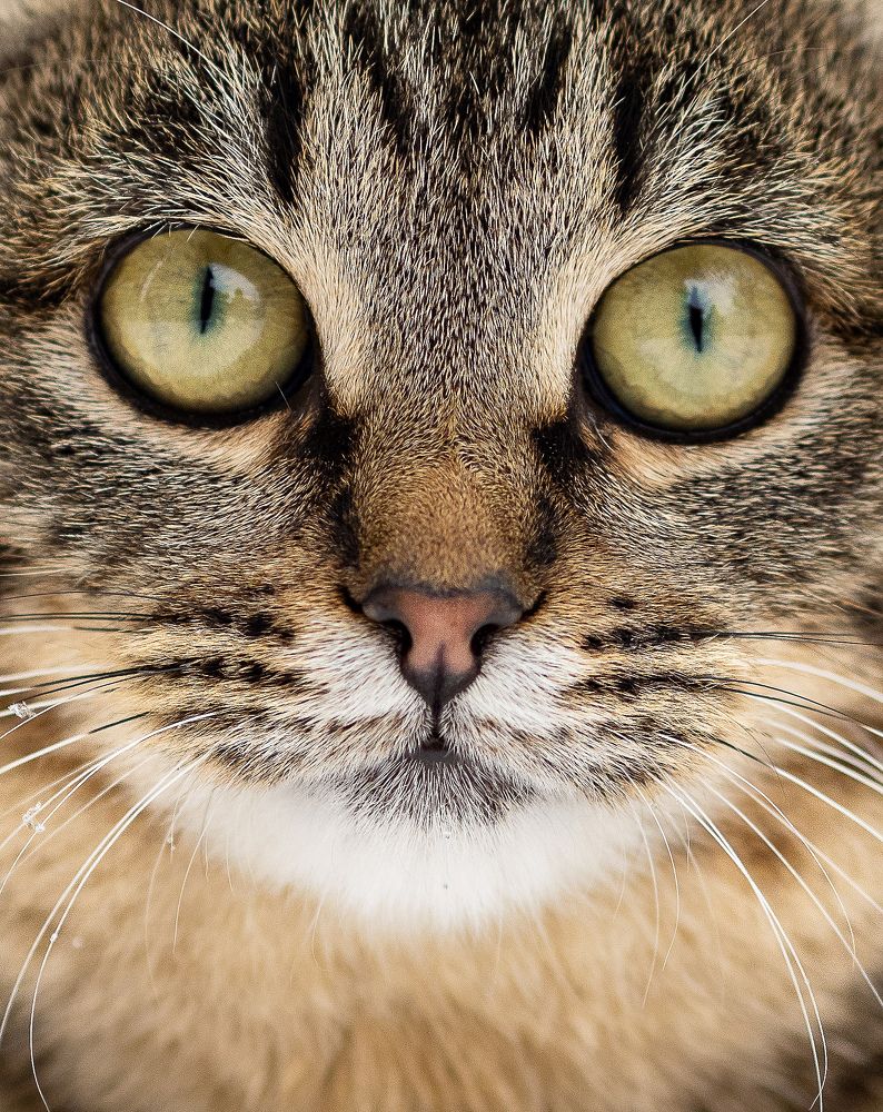 Photograph by Юлия Герман