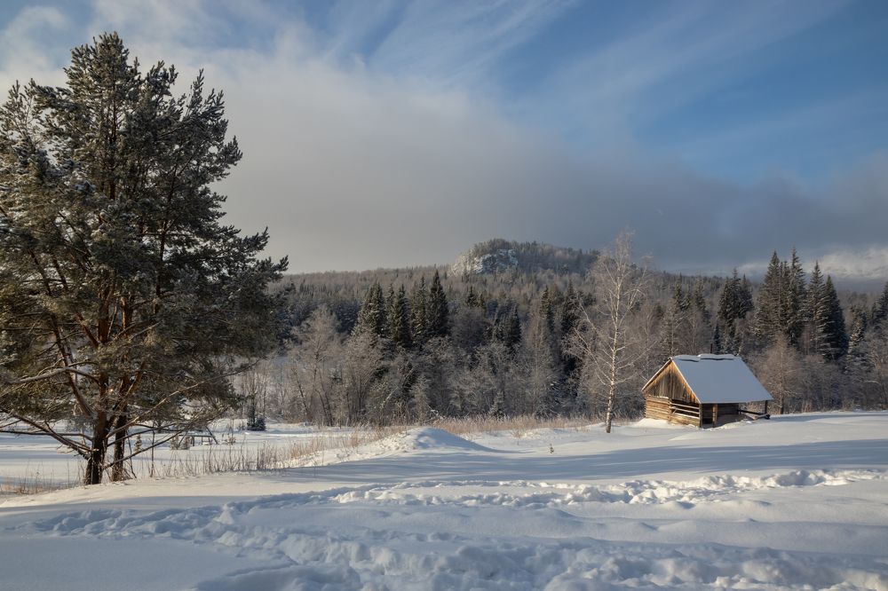 Фотография автора Анастасия Тараканова