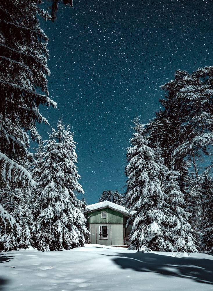 Photograph by Евгений Чикишев