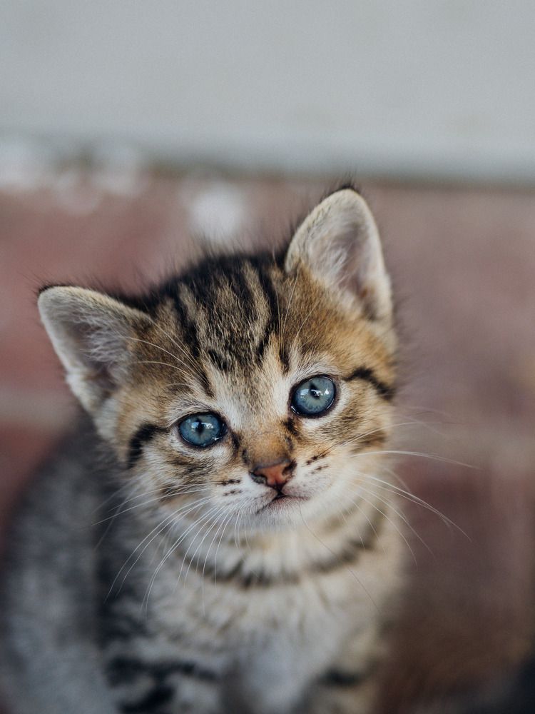 Photograph by Юлия Герман