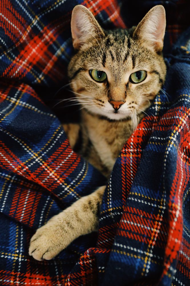 Photograph by Юлия Герман