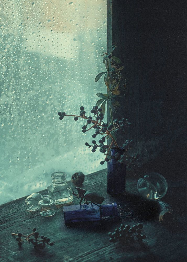 Photograph by Natalia Ricci