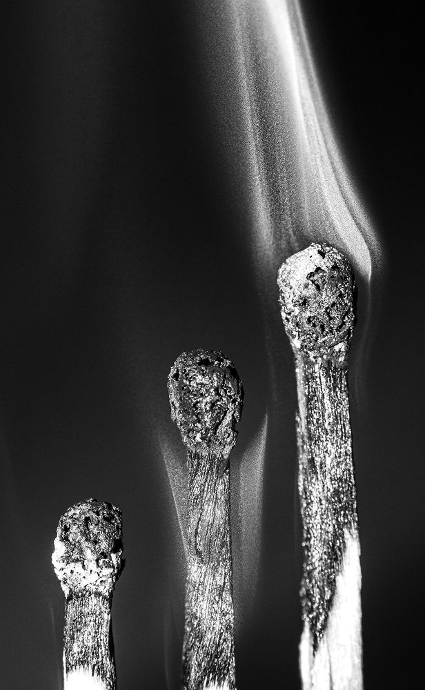 Photograph by Sahar Jafari