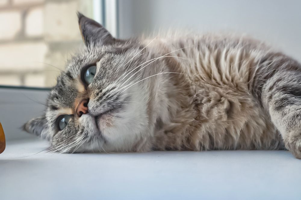 Photograph by Наталья Клячина