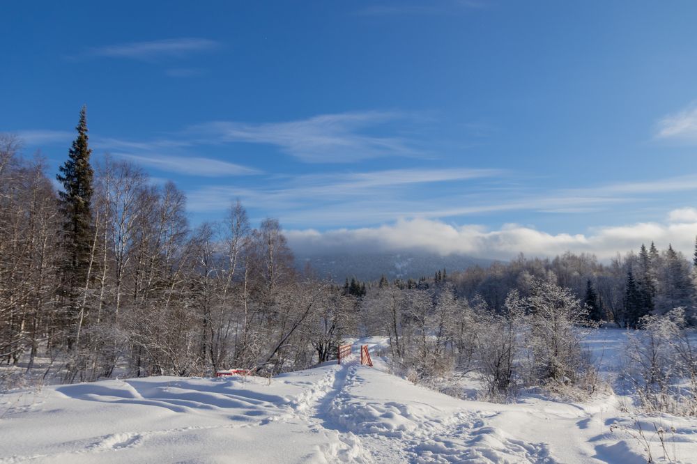 Фотография автора Анастасия Тараканова