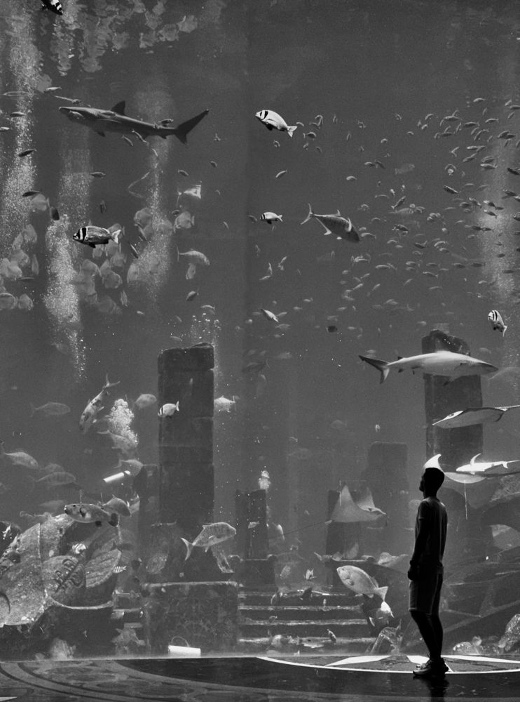 Photograph by Anton Grigoryev