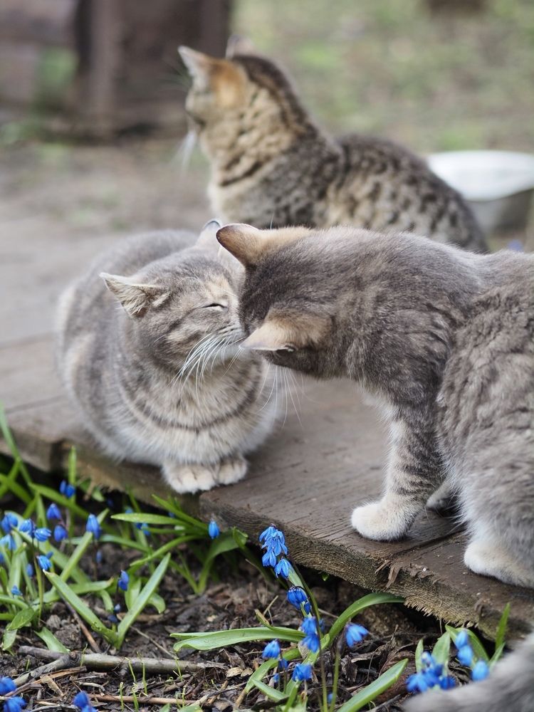 Photograph by Юлия Герман