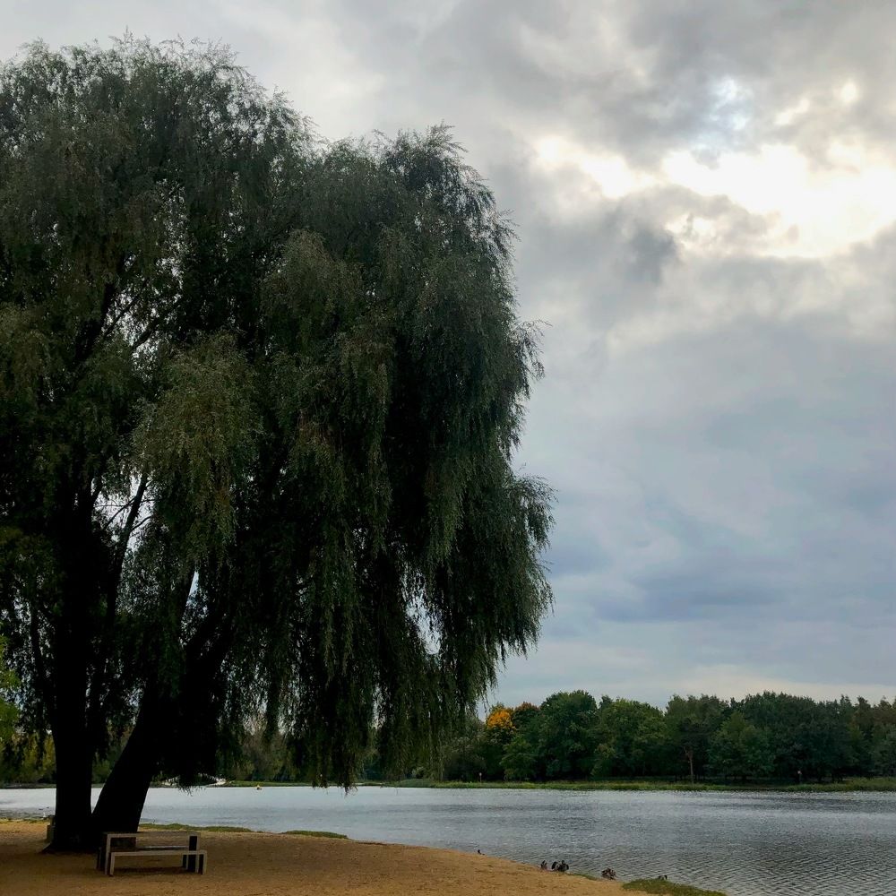 Photograph by Яна Цицилашвили