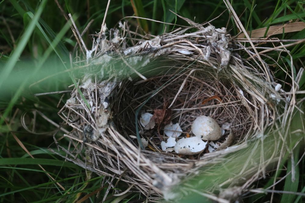 Photograph by Наталья Клячина