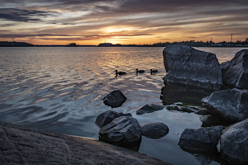 Времена года
