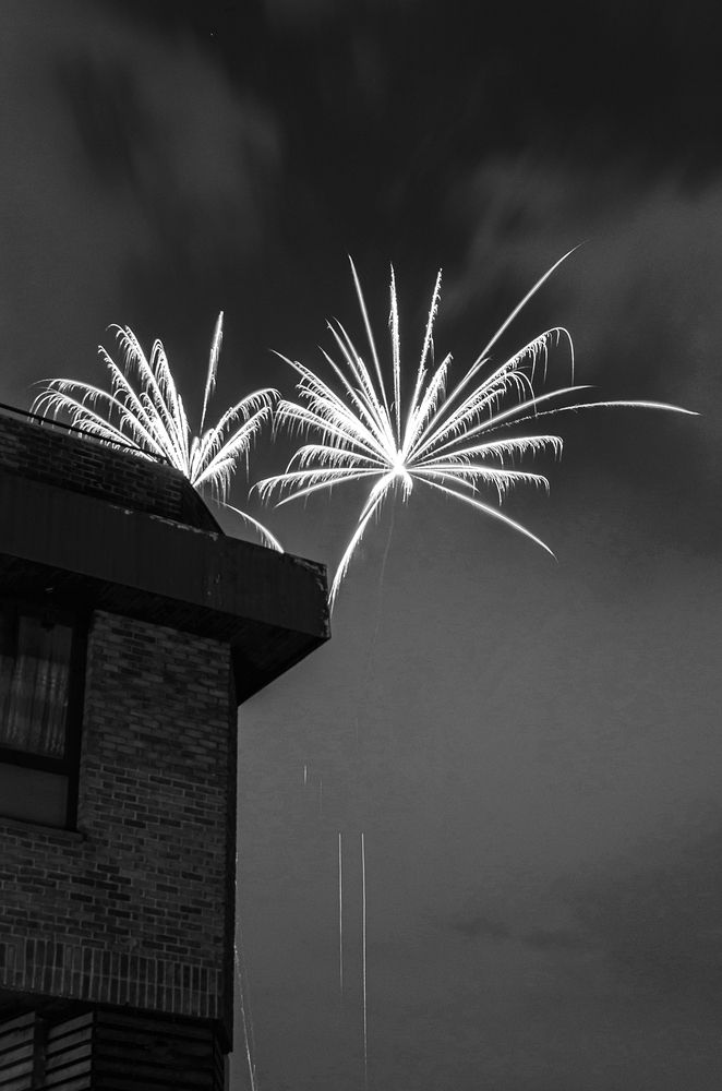 Photograph by Sahar Jafari