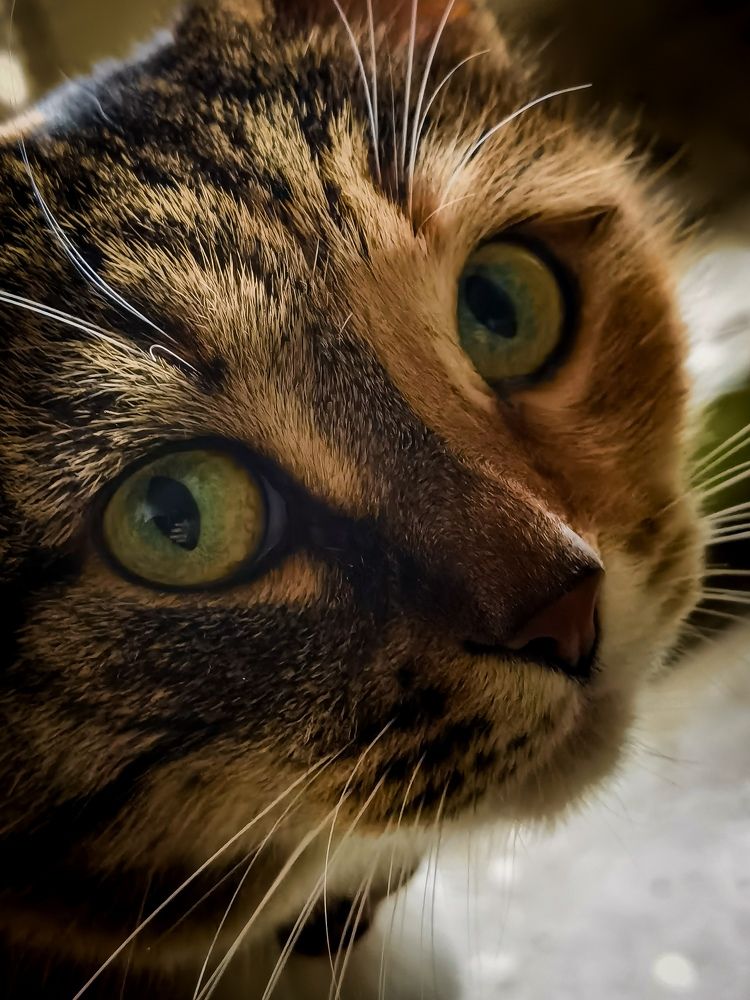 Photograph by Влад Апанасов