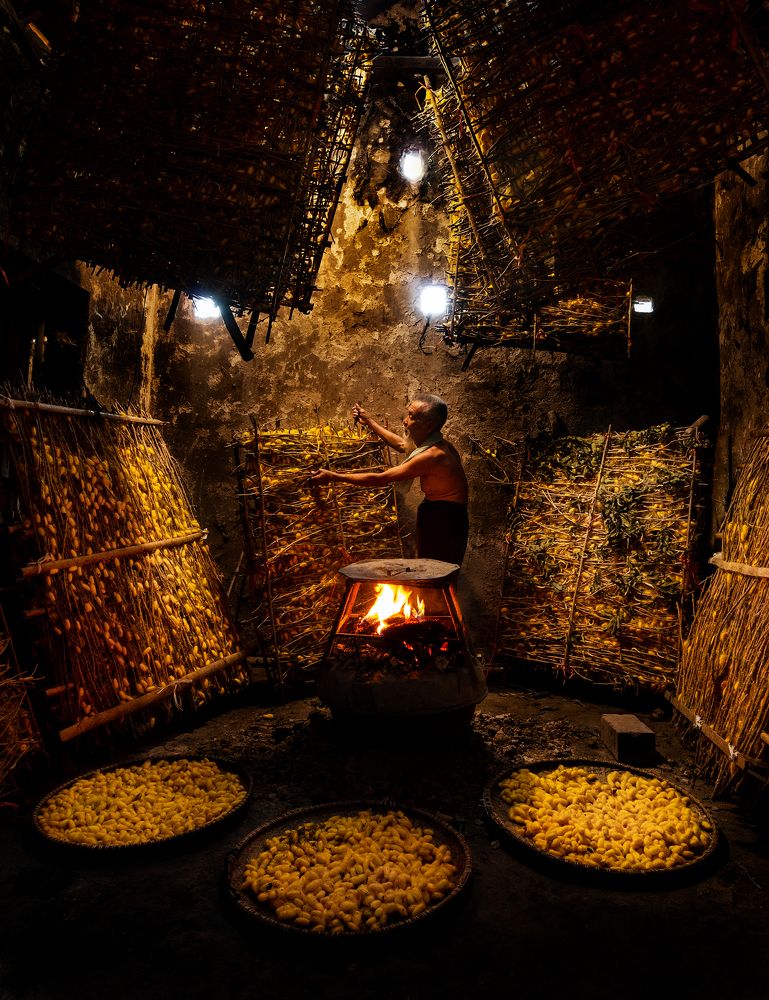 Фотография автора Đào Cảnh