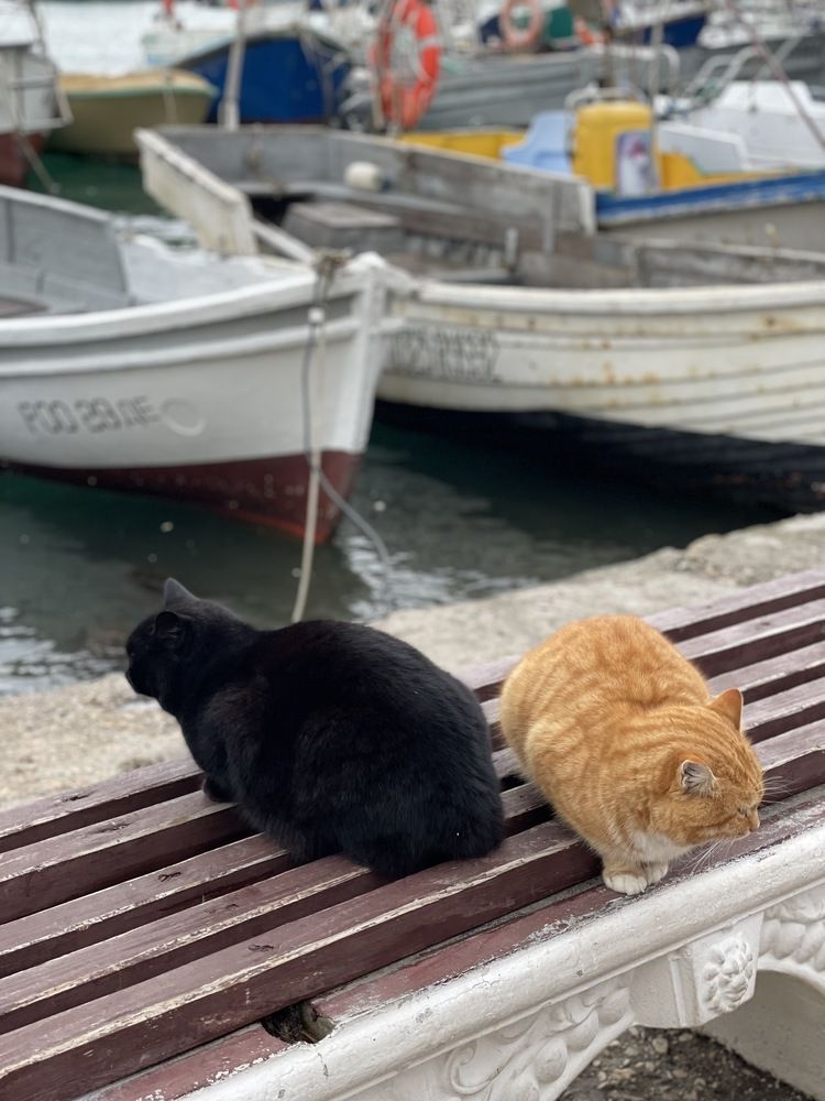 Photograph by Наталья Свинарёва