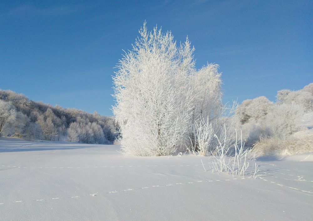 Фотография автора Андреянов А. В.