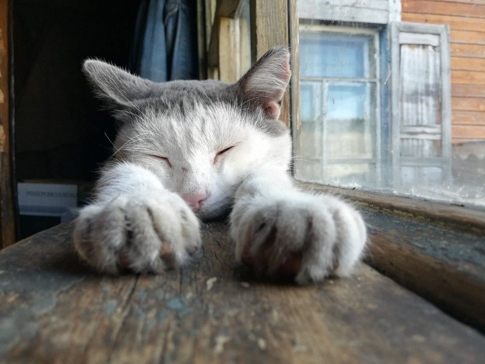 Photograph by Екатерина Швец