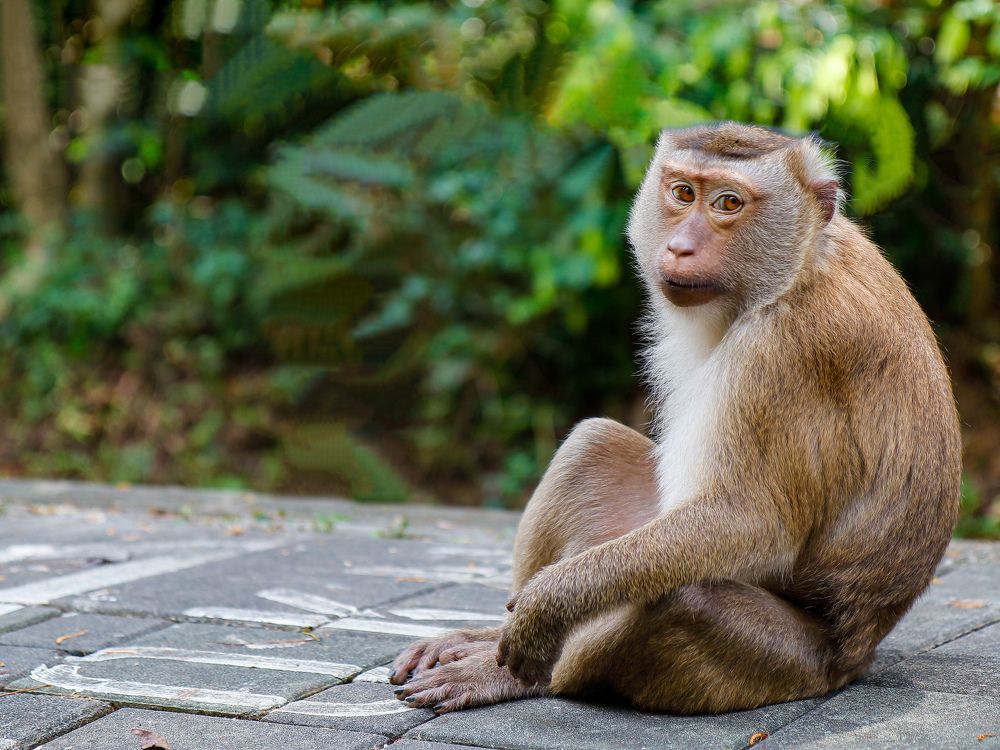 Photograph by Екатерина Слепнева