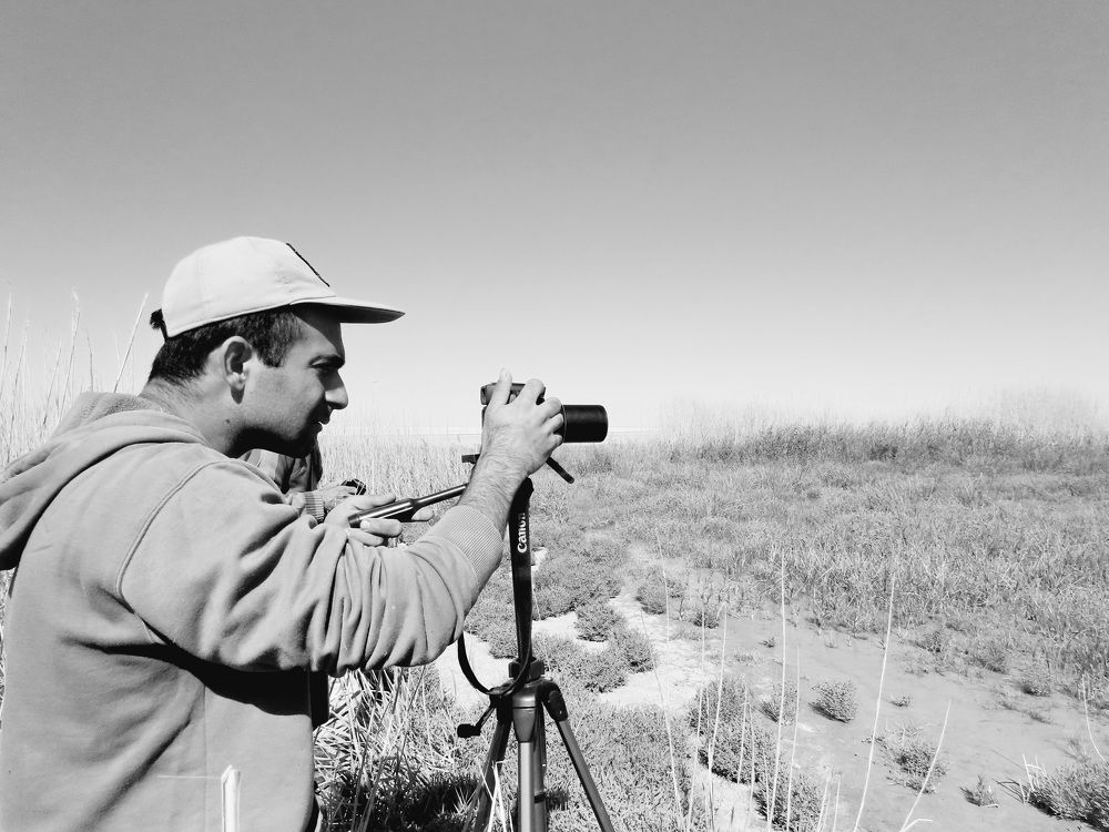 Photograph by mahboube moradalizade