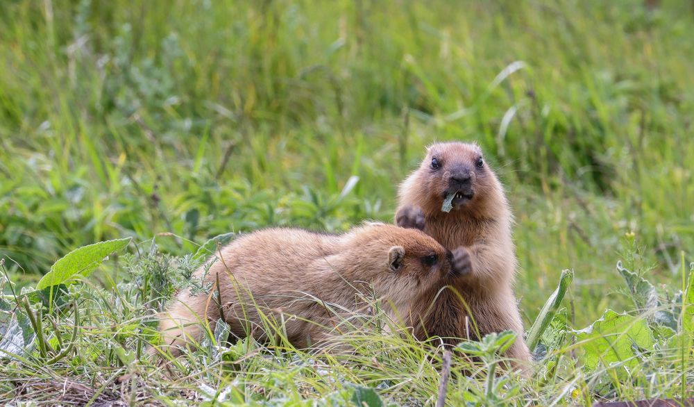 Photograph by Юлия Черкасова