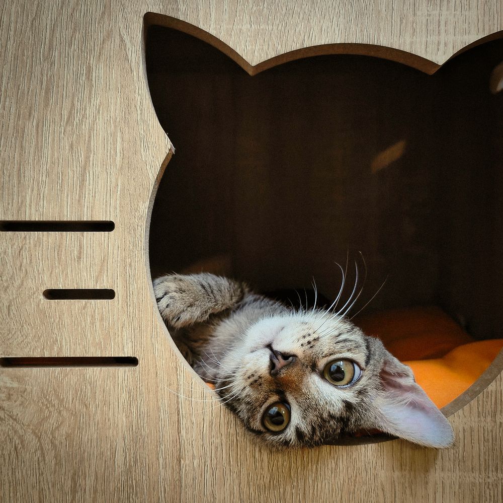 Photograph by lehuuhuy95