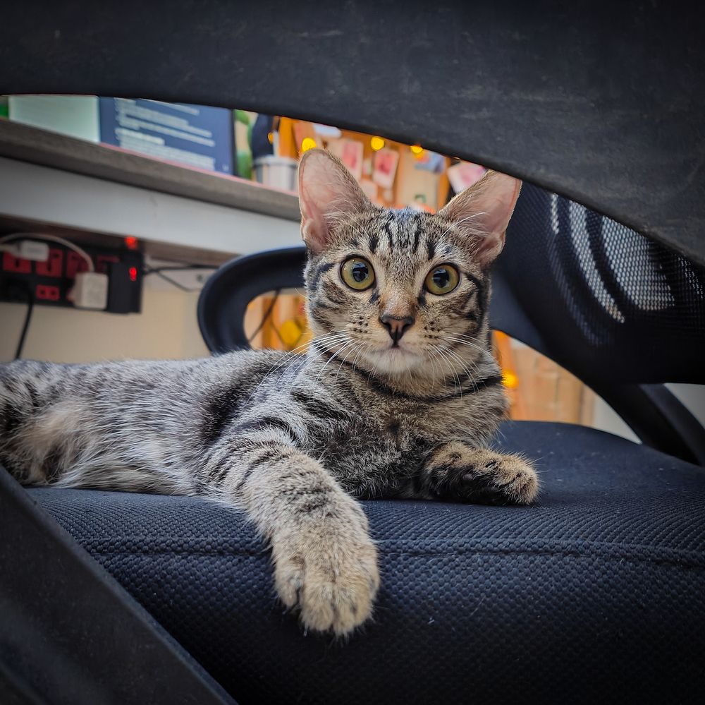 Photograph by lehuuhuy95