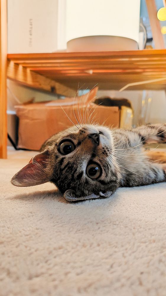 Photograph by lehuuhuy95