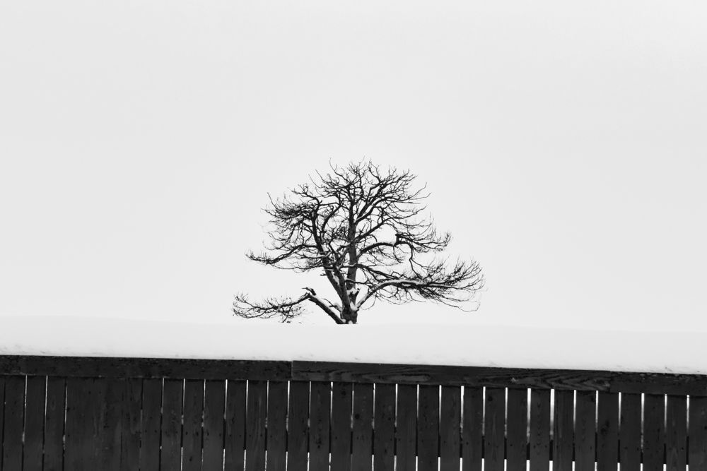 Возраст - зима.