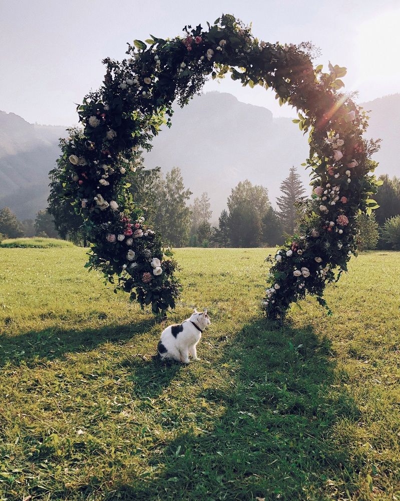 Photograph by Мария Уголькова