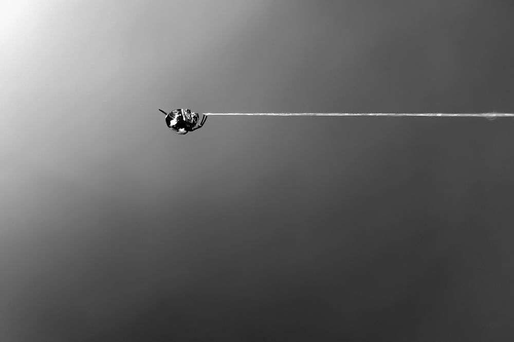 Фотография автора NeCoTi ChonTin