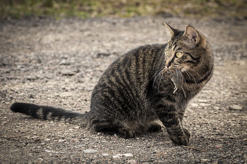 Photograph by Евгений Алексеев