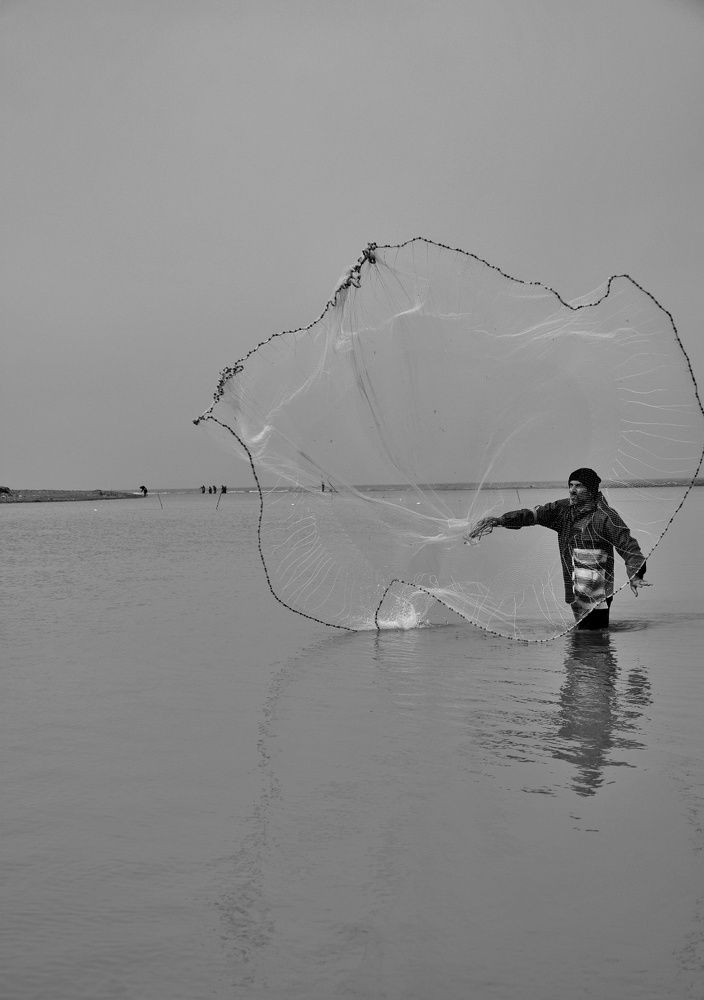 Photograph by Pourya Farajpour