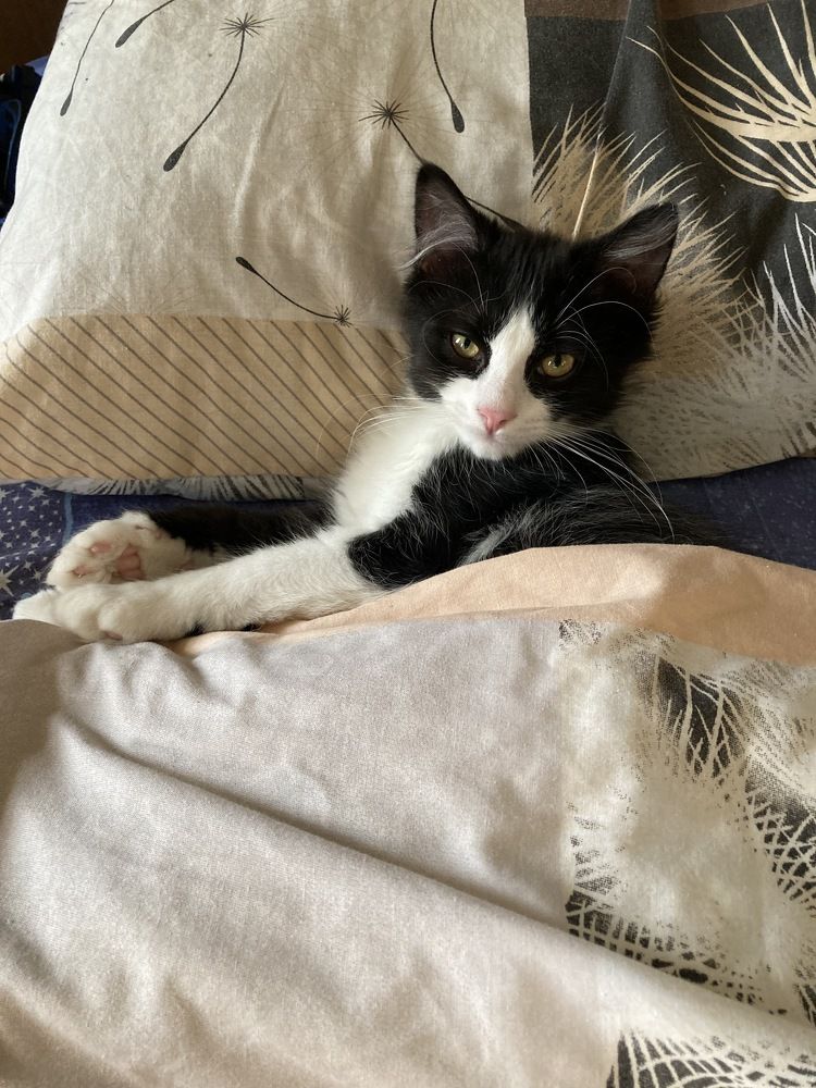 - What are you saying there? Whose bed is this? - Что ты там говоришь? Чья это кровать?