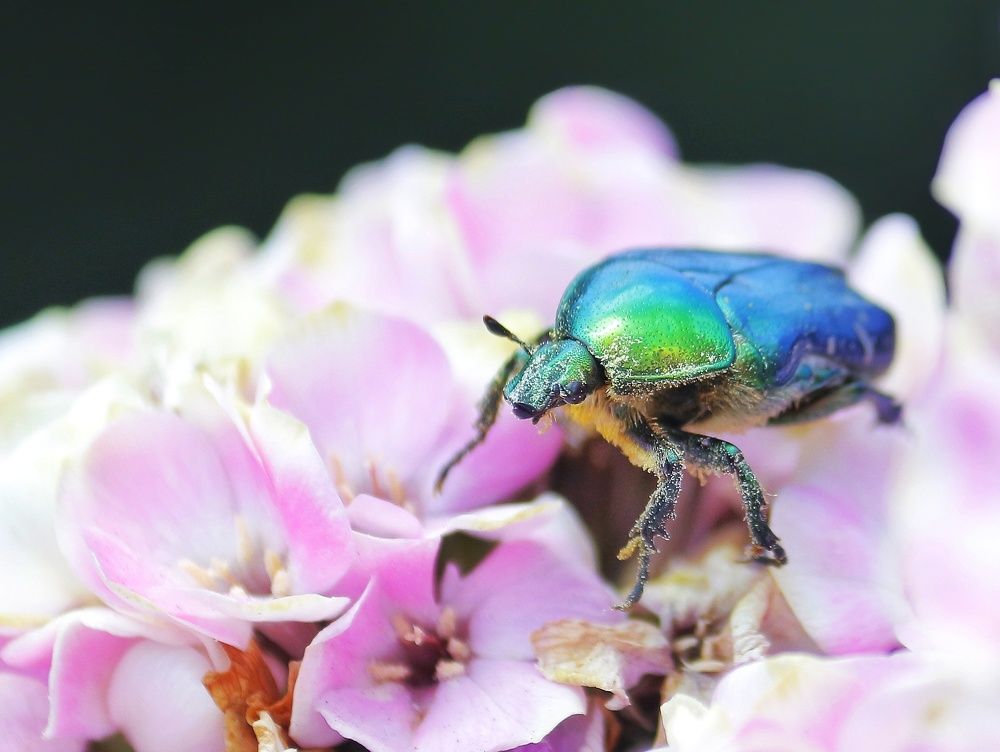 Photograph by Юлия Серазетдинова