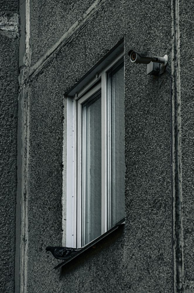 Photograph by Кирилл Шарапов