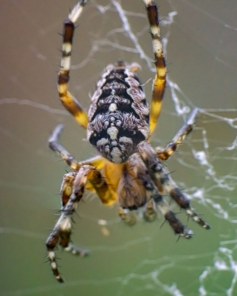 Photograph by Кирилл Шарапов