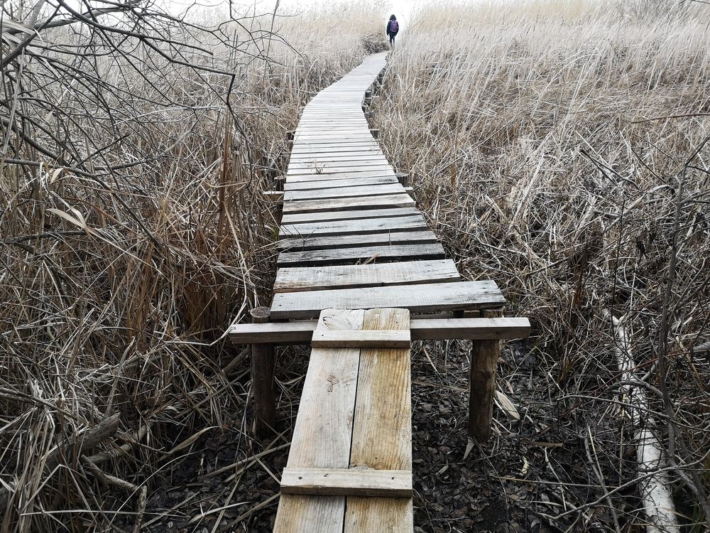 Photograph by Marina Razheva